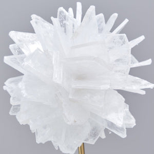 White Crystal Flower